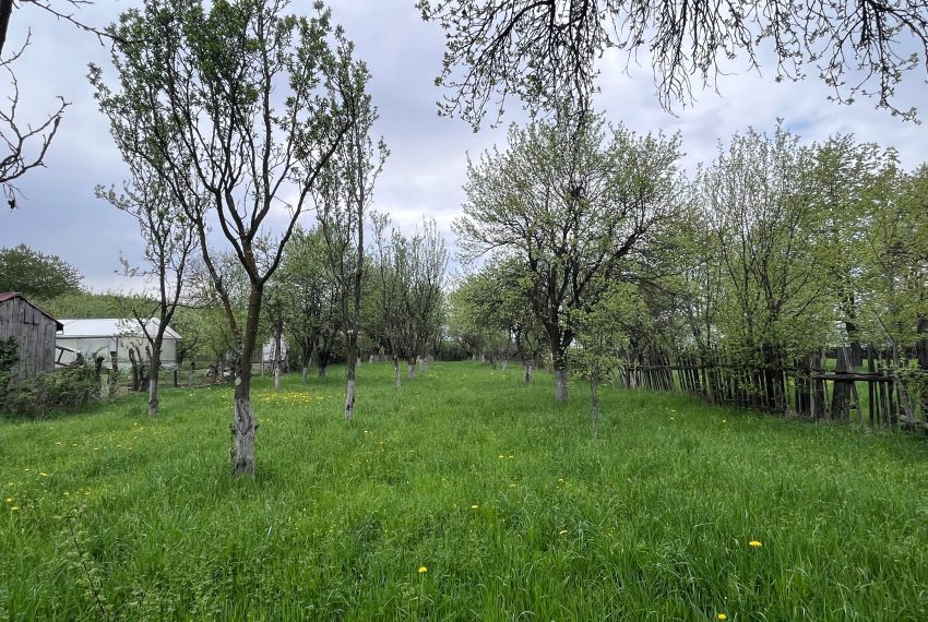 0f94b890-3367-4c21-aa2b-54064d74f306