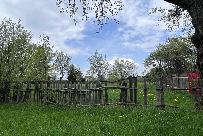 41cddb45-1d48-49e0-a98b-eb4af4b0c187