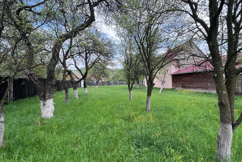 b17cf35f-612a-4e33-b724-172a6aceb3d4