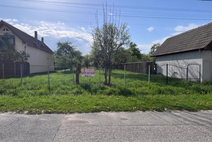 ccff3c07-f19d-4004-aa29-46a4cc8e4328